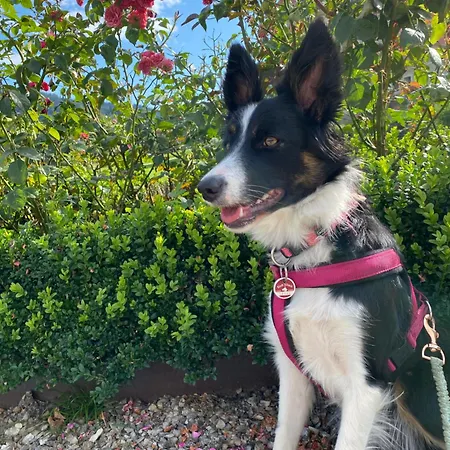 Garni Sohler 2* Villach