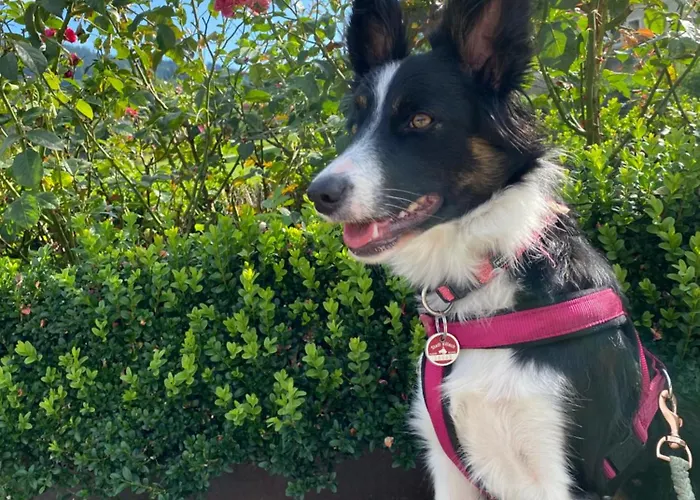 Garni Sohler 2* Villach